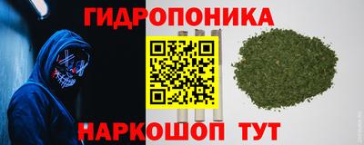кокаин Новозыбков
