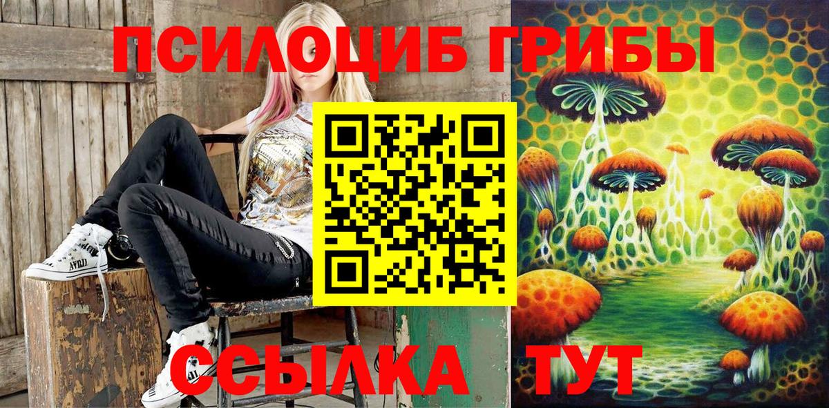 Тосно  где найти наркотики  Галлюциногенные грибы MAGIC MUSHROOMS  Вход с VPN  Галлюциногенные грибы Cubensis 