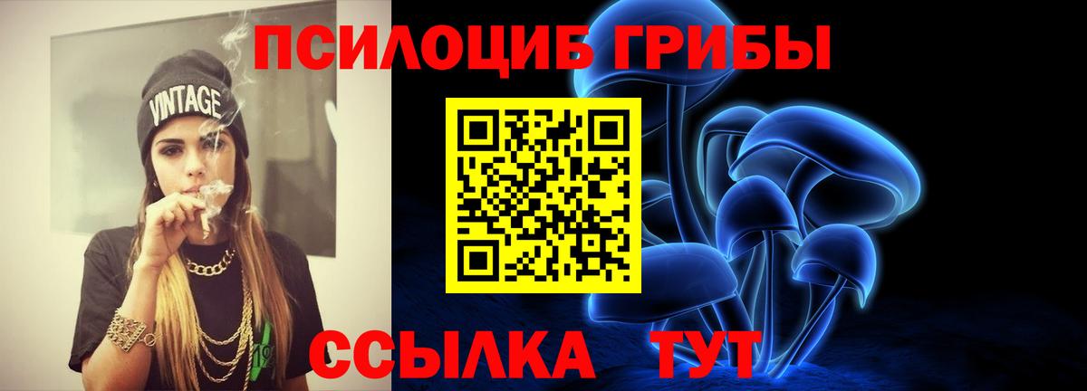 Псилоцибиновые грибы ЛСД Тосно